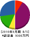 片山電機 貸借対照表 2010年8月期