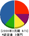 第一建興江島 貸借対照表 2008年3月期