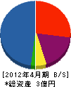 新日本建鐵 貸借対照表 2012年4月期
