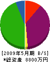 片岡工業 貸借対照表 2009年5月期