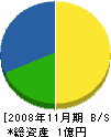 神奈川綜合設備 貸借対照表 2008年11月期