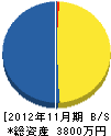 入江電気工事店 貸借対照表 2012年11月期