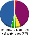 小菅工業 貸借対照表 2009年12月期