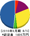 佐枝設備工業 貸借対照表 2010年6月期