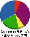 杉山ハウジング 貸借対照表 2011年10月期