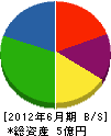 広田建設 貸借対照表 2012年6月期