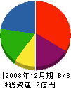 井澤建設 貸借対照表 2008年12月期