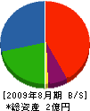 松本建設 貸借対照表 2009年8月期