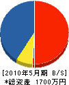 片山電工 貸借対照表 2010年5月期