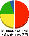 朝日清組 貸借対照表 2010年5月期