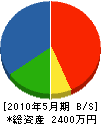 澄川電設 貸借対照表 2010年5月期