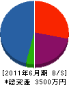 三栄電設 貸借対照表 2011年6月期