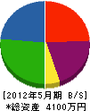 びわ緑化 貸借対照表 2012年5月期