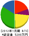 田川 貸借対照表 2012年1月期