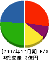 大慶産業 貸借対照表 2007年12月期