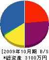 太陽デンキ 貸借対照表 2009年10月期