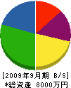 大手産業 貸借対照表 2009年9月期