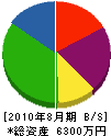 吉江組 貸借対照表 2010年8月期