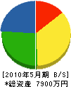 塚本建設 貸借対照表 2010年5月期