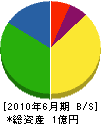 松村土木 貸借対照表 2010年6月期