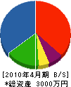 田中電設 貸借対照表 2010年4月期