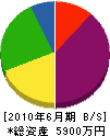 ハヤノ 貸借対照表 2010年6月期