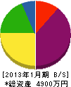 松島硝子店 貸借対照表 2013年1月期