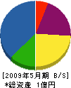 花山組 貸借対照表 2009年5月期