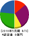 山崎 貸借対照表 2010年5月期