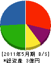 アコック 貸借対照表 2011年5月期