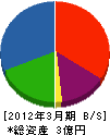 ヤマシタ工業 貸借対照表 2012年3月期