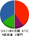 渡辺塗料 貸借対照表 2011年6月期