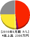 松戸電気 損益計算書 2010年6月期
