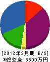 齋藤工務店 貸借対照表 2012年3月期