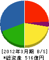 新神戸電機 貸借対照表 2012年3月期