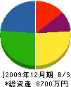 ヤマサ産業 貸借対照表 2009年12月期