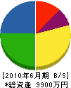 花田工務店 貸借対照表 2010年6月期