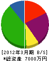 徳川綜合建設 貸借対照表 2012年3月期