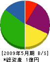 柴田産業 貸借対照表 2009年5月期