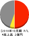 中通建設 損益計算書 2010年10月期 中通建設 損益計算書 2010年10月期