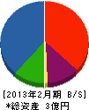 石川建装 貸借対照表 2013年2月期