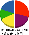 田中土建工業 貸借対照表 2010年6月期
