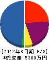 上山建設 貸借対照表 2012年6月期