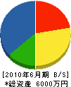 佐川建設 貸借対照表 2010年6月期