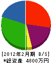 小島電気商会 貸借対照表 2012年2月期