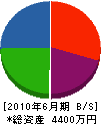 日栄電気設備 貸借対照表 2010年6月期