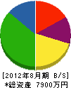 上野設備 貸借対照表 2012年8月期