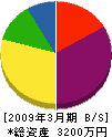 鈴木電気商会 貸借対照表 2009年3月期