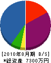田島工業 貸借対照表 2010年8月期