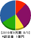 ヤマナミエンジニヤリング 貸借対照表 2010年9月期